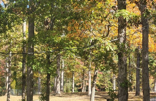 Jasper House | Smith Lake Home - Lake Front on Secluded Slough - Close to Jasper