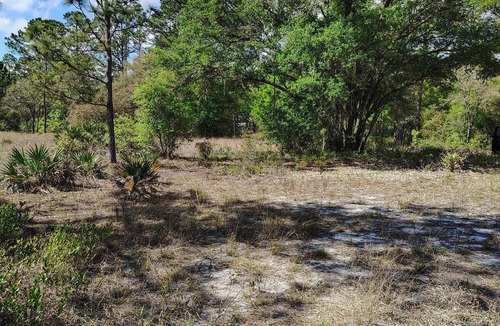 Edgar RV Rental | Soothing campground in Interlachen for a peaceful getaway