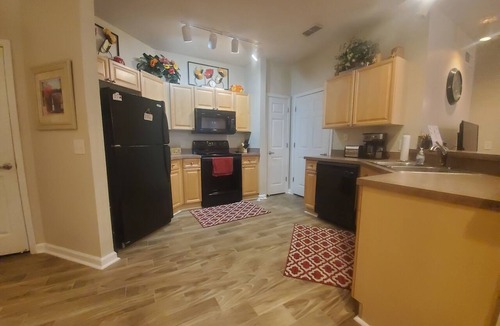 Loughman Apartment | Spacious and Beautiful Condo, 15 minutes from Disney !