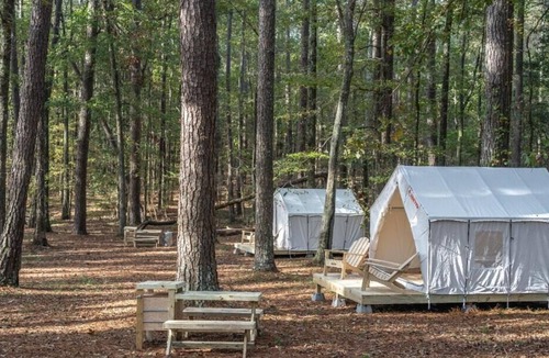 Morton RV Rental | Tentrr State Park Site - Mississippi Roosevelt State Park - Tall Trees C - Singl