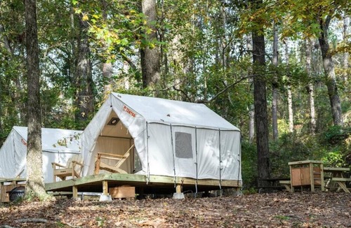 Morton RV Rental | Tentrr State Park Site - Mississippi Roosevelt State Park - Tall Trees H - Singl