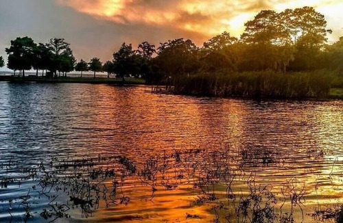 Mandeville RV Rental | Tentrr State Park Site - Louisiana Fontainebleau State Park - Pond View D - Sing