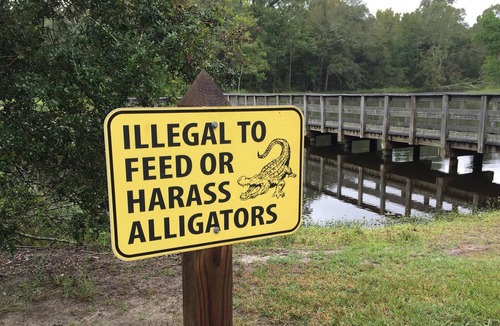 Mandeville RV Rental | Tentrr State Park Site - Louisiana Fontainebleau State Park - Pond View D - Sing