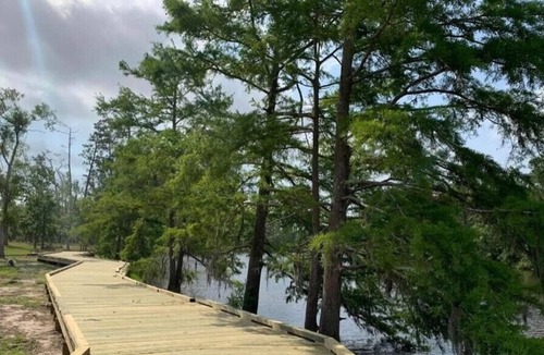 Lake Charles RV Rental | Tentrr State Park Site - Louisiana Sam Houston Jones State Park - Lagoon View A