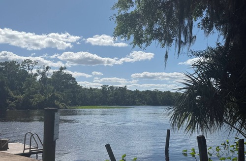 Satsuma RV Rental | Terrific camping site inSatsuma perfectfor your outdoor adventure.Near the river