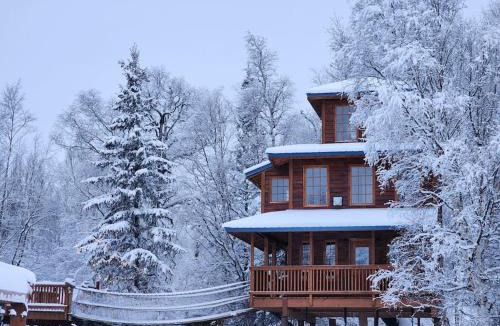 Palmer House | The Eagle's Nest Treehouse Cabin