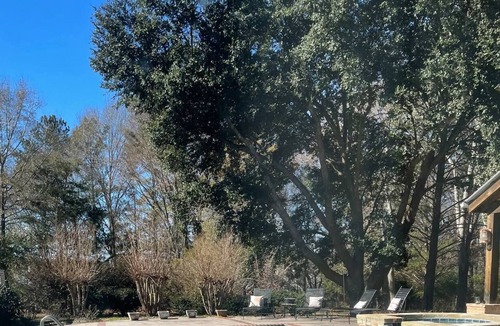 Madison Bed & Breakfast | The Eastwood Room