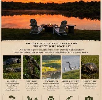 Apopka House | The little Manatee Retreat