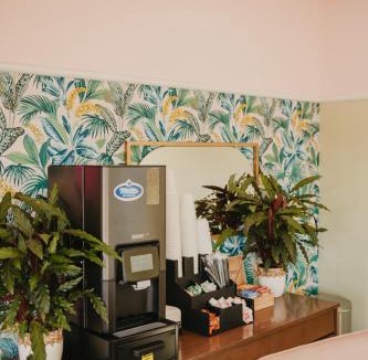 St. Augustine Hotel | The Local - St. Augustine