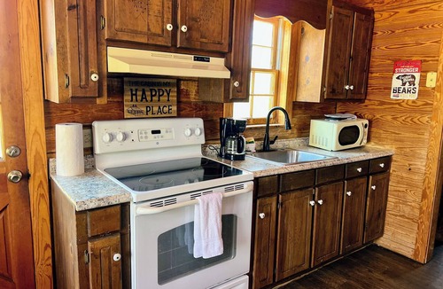 Pine Mountain Cabin | The Roosevelt - Close to Mountainside pool!