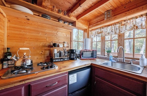 Pierson House | Tiny Cabin Near Speedways, Beaches & Attractions