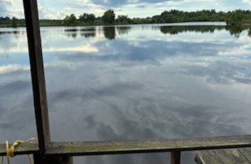 Dover House | Tranquil Fishing & Nature Retreat! Minutes from Ga Southern, all of 157 acres!