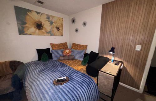 Tuscaloosa House | Van Gogh Stay Near UA Game Day Private Room