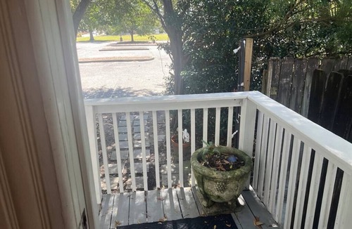 Downtown Apartment | Walk to Palafox Restaurants and Events!Close to Beaches and NAS.