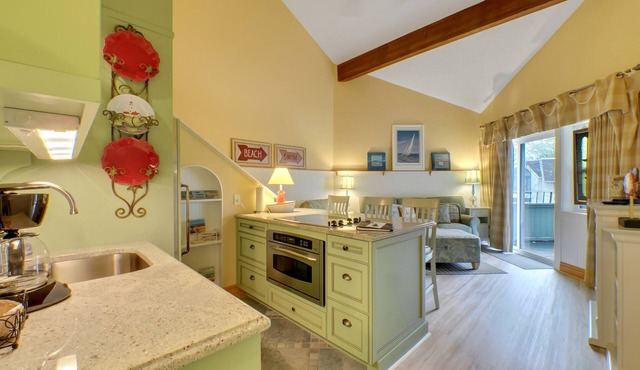 202 Pointes North | Bridge View | Downtown Charlevoix | Indoor/Outdoor Pool