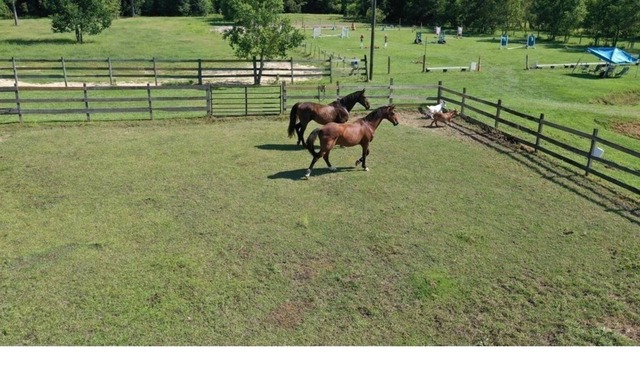 30 Acre Horse Farm with Barn
