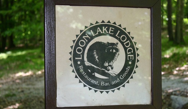 4th of July 2025! Family Reunion Log Cabin Lake View, Beach, Pontoon