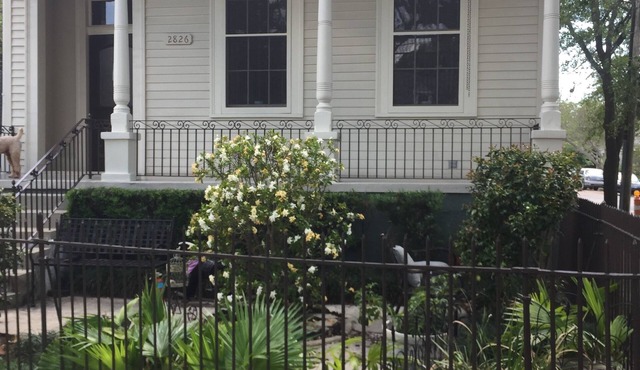 Bayou St. John Jazz Fest Gem