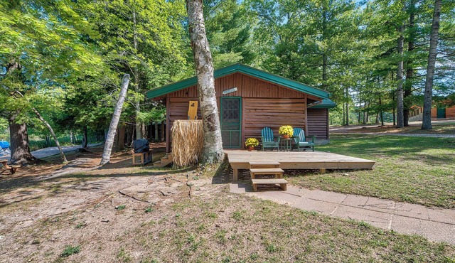 Beach + Game Room Access: Lakefront Levering Cabin