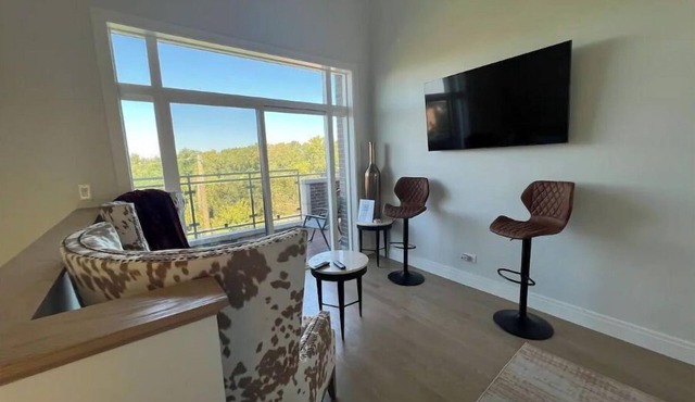 Bronzeville-Lakefront property, near Sox, McCormick, Museums & Downtown Chicago. in Chicago