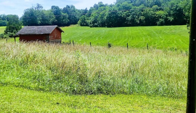 Camp Creek Cottage 3br, 2ba w Outdoor Tent & Grill