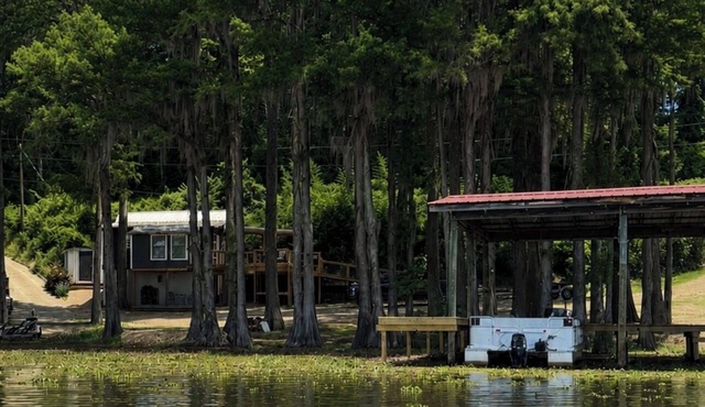 Canvasback Cove on Caddo Lake - Lakefront pet friendly cabin in Jefferson, Tx