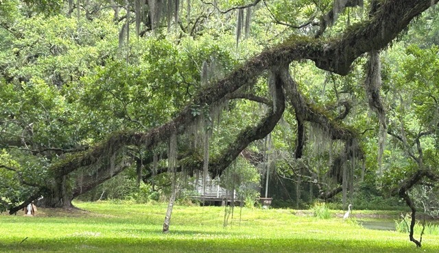 Charming 2-bedroom cottage on the bayou Teche in Jeanerette with AC, WiFi