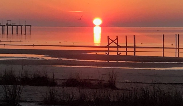 Charming Beachfront Cottage in Waveland