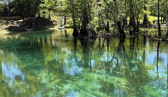 Come stay and relax in our newly renovated home by the Ichetucknee River