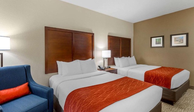Comfort Inn & Suites Canton Riverstone Area