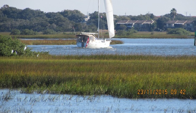 Conquistador Wetlands, Panorama Views, Eagles, Herons, Ibises;.....peaceful