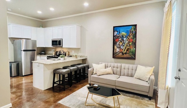 Cozy 1-bedroom 1 bath condo in walking distance to downtown Lafayette.