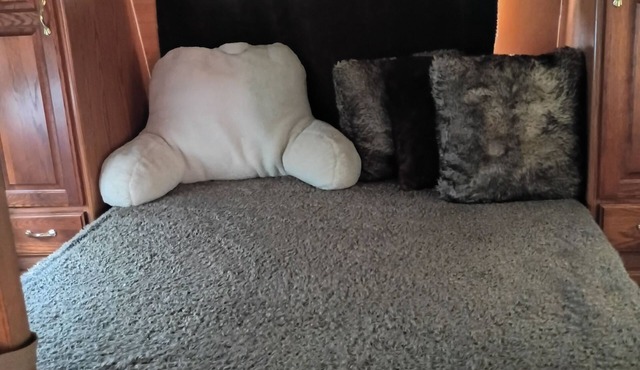Cozy 1-bedroom camper for 2 adults in Brooklyn Riverside Jacksonville with AC