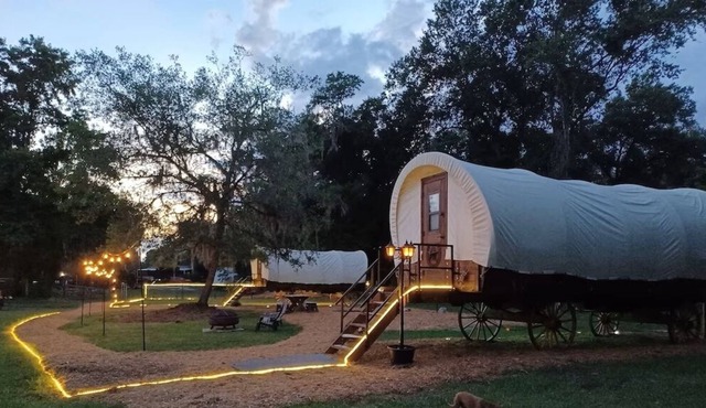 Cozy Covered Family Wagon on Rooterville’s Working Farm and Animal Sanctuary