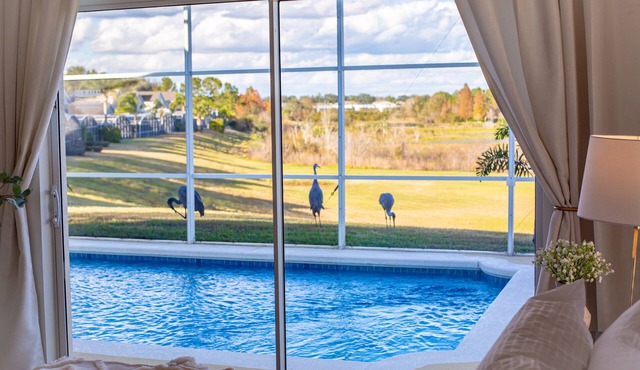 Delightful Pool Retreat close to Disney - 2 Kings.