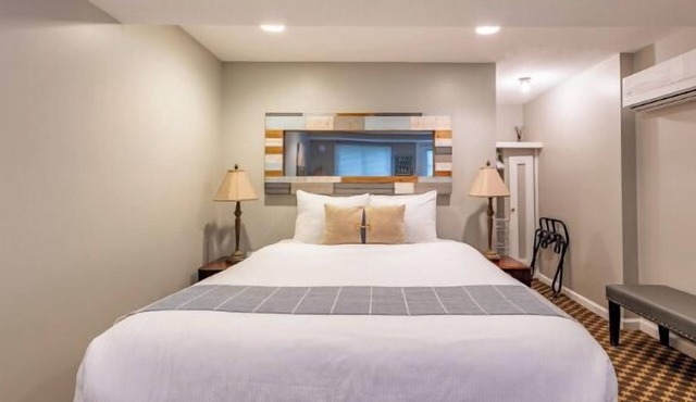 Economical, well-appointed queen room.
