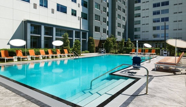 Element Orlando | 1 King Suite | Spacious Pet-Friendly Extended Stay