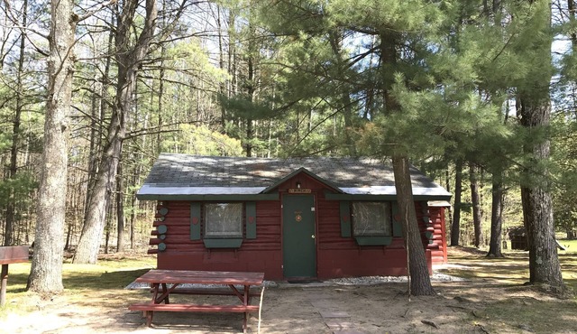 Ellis Lake Resort - Birch Log Cabin-Interlochen/Traverse City