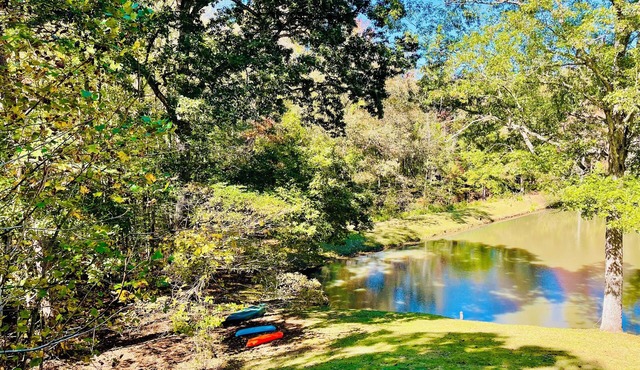 Hidden Gem! Lakeside two bedroom private entrance apartment with large yard.