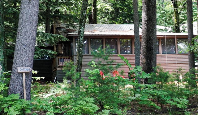 Historic Glen Lake Cottage with Private Waterfront Access
