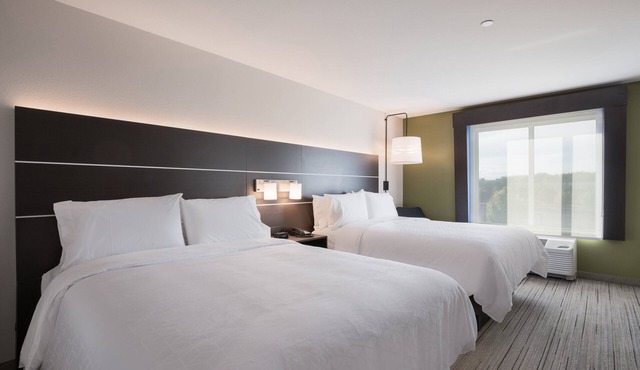 Holiday Inn Express & Suites Chicago - Hoffman Estates by IHG in Hoffman Estates
