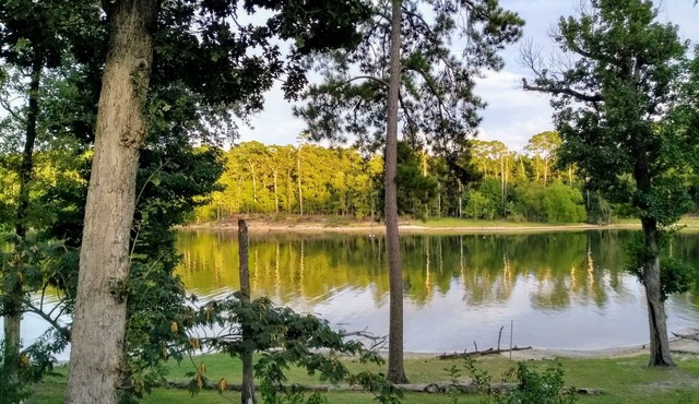 Lake Front/Great Views/Direct Lake Access Sanitized between visits