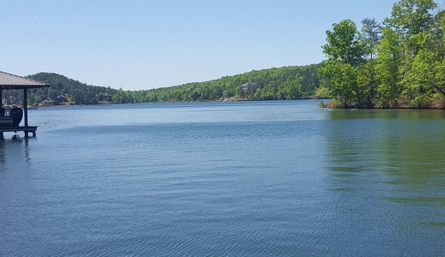 Luxury at Lake Martin I
