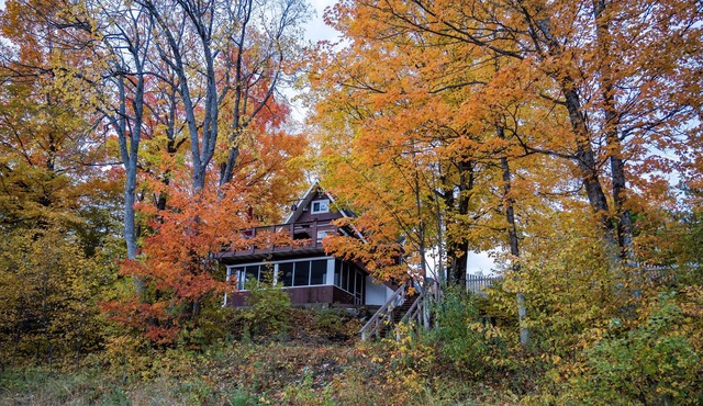 Michigans Upper Peninsula ON the Escanaba River with wooded 5 acres of Privacy. in Cornell