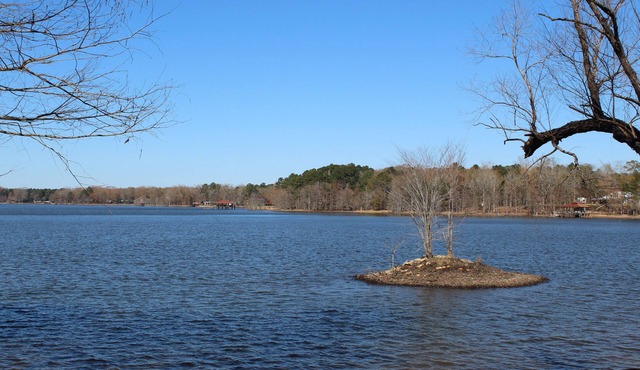 Mid Lake - Triple Forbes Fish Camp