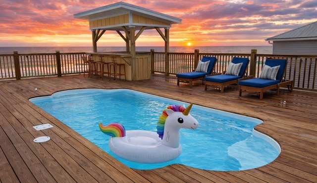 NEW! Parrot Dice. On the beach, pool