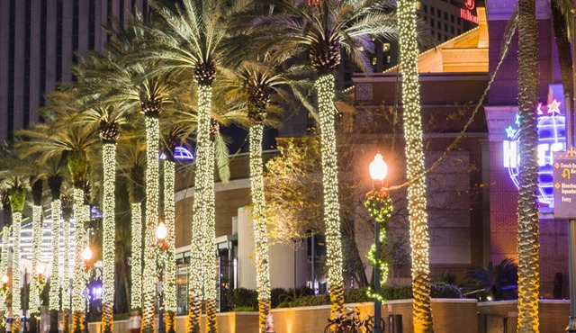 NOLA has ALL THE FESTIVITIES! SPACIOUS 1B/1B w/garage PARKING avail!
