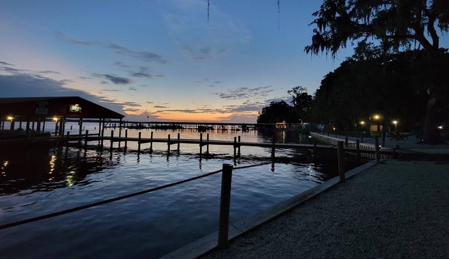 On Lake George & St Johns River #14