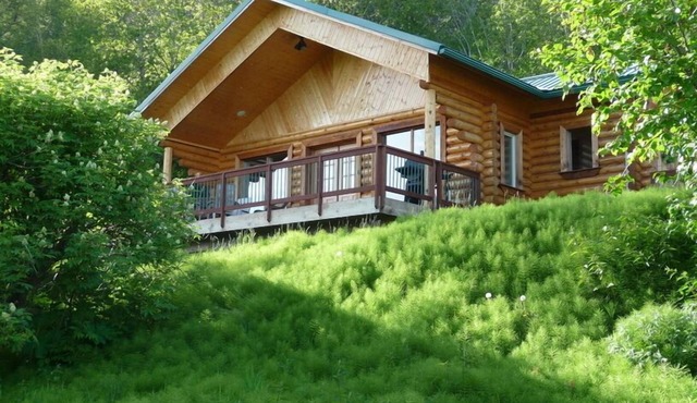 Panoramic Views And Privacy On A 40 Acre Homestead in Homer