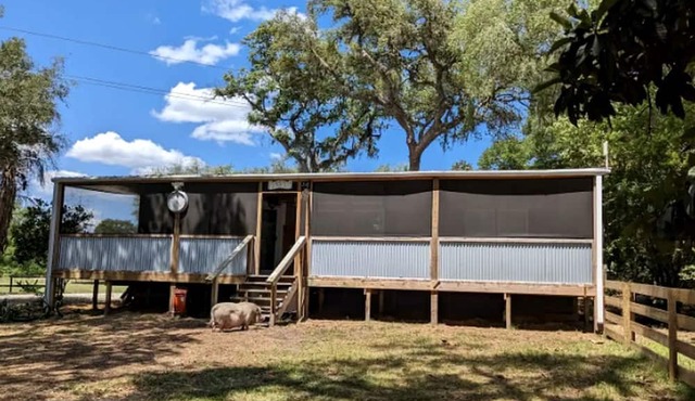 Peaceful Animal Sanctuary Farm Stay on Rescue Farm Near Gainesville & Jacksonville in Melrose, Florida